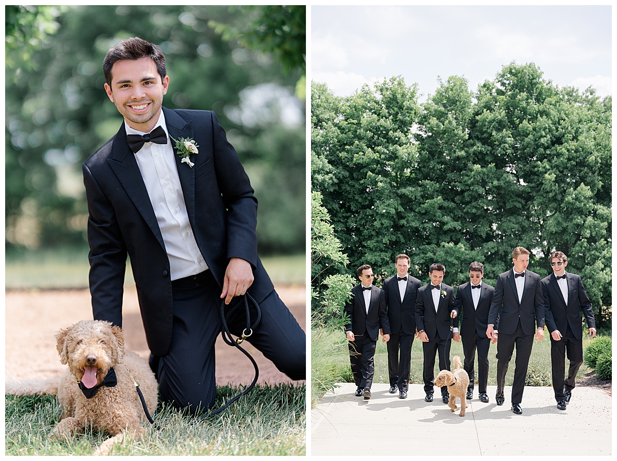Groomsmen walk with dog for pictures in Columbus, Ohio